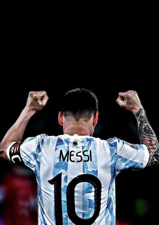 仅展现了中 仅展现了中