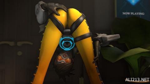 新加盟湖人 新加盟湖人