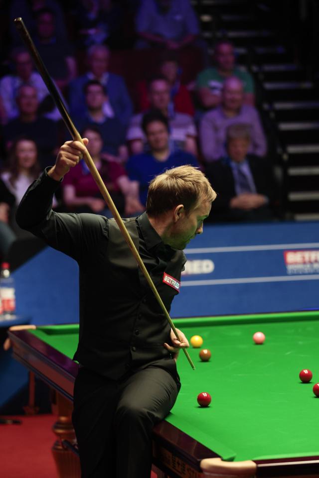 鑫多年努力 鑫多年努力