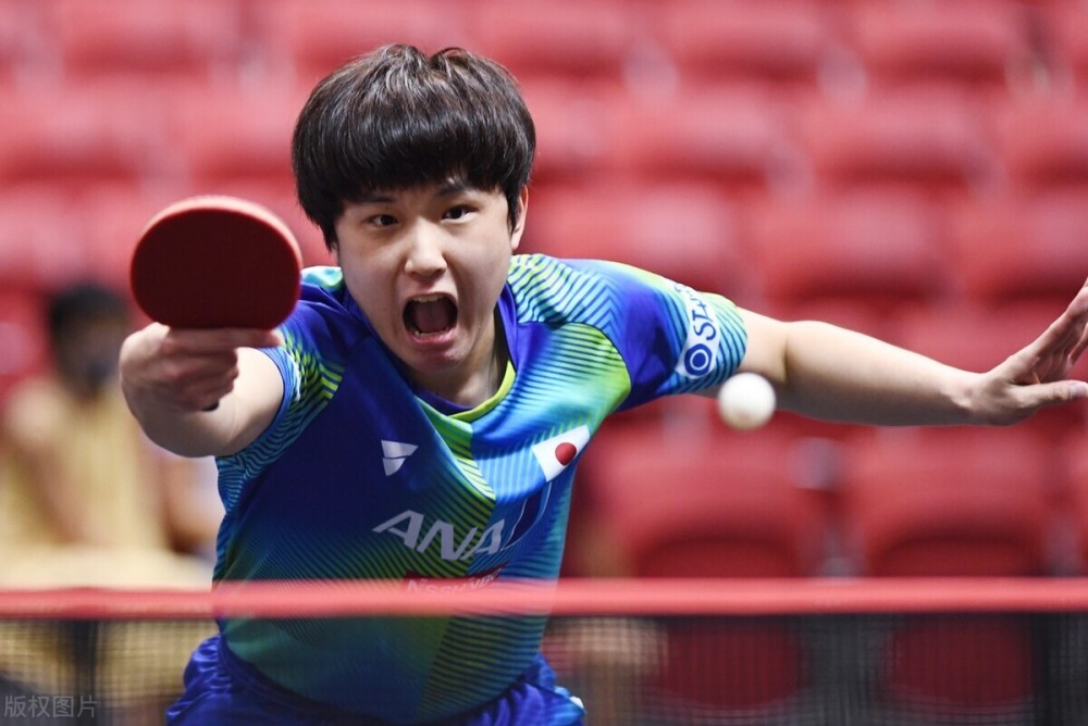 它以书法 它以书法