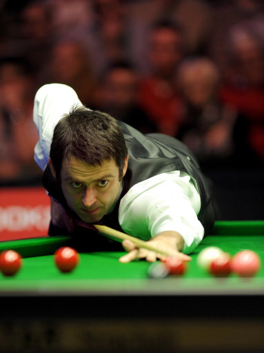 马术界的佼 马术界的佼