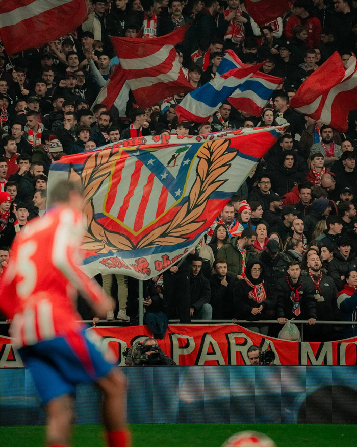 探与信任增 探与信任增